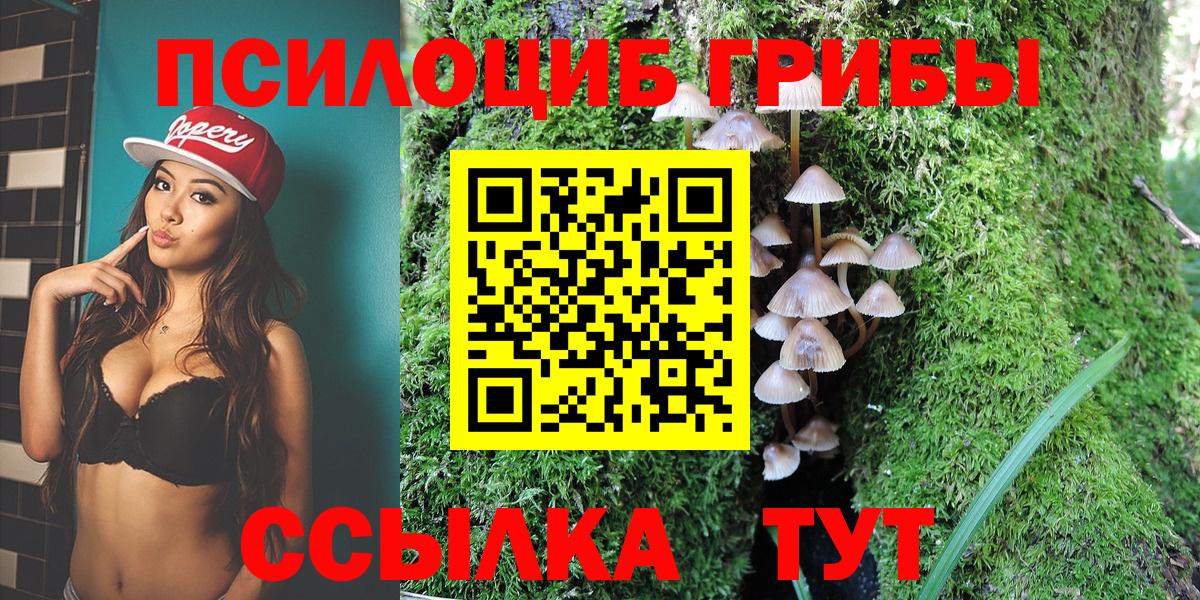 Псилоцибиновые грибы Psilocybe  Вход с VPN  Асино  цена наркотик  Псилоцибиновые грибы Magic Shrooms 