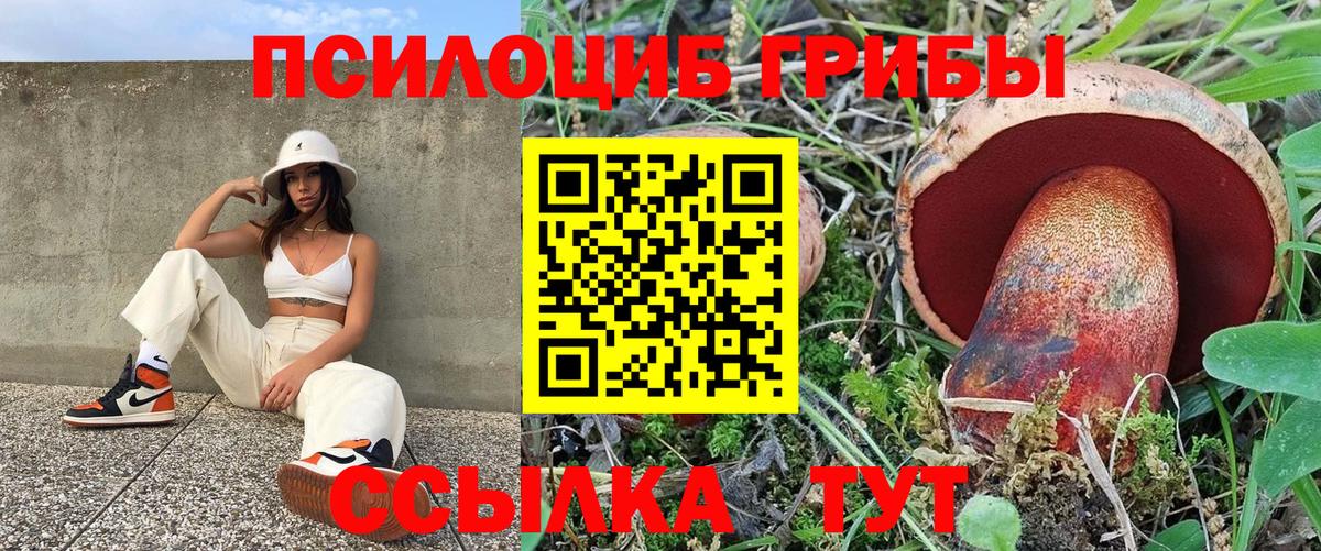 Галлюциногенные грибы Cubensis Асино